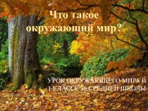 Что такое окружающий мир?