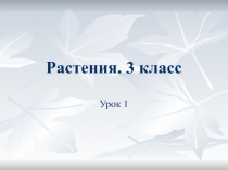 Растения. 3 класс