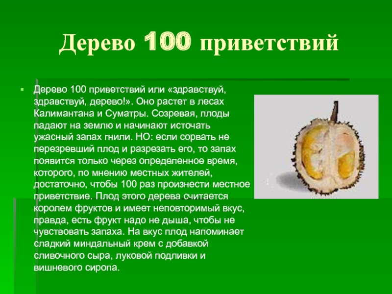 100 дерево. Дерево приветствий. 100 Приветствий. Здравствуй дерево. Дерево Здравствуй Здравствуй.