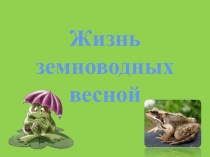 Жизнь земноводных весной