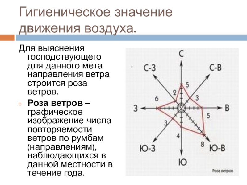 Значение движения. Направление движения розы ветров. Роза ветров по повторяемости направления. Роза ветров гигиеническое значение. Движение воздуха роза ветров.