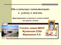 От ключевых компетенций- к успеху в жизни. формирование ключевых компетенций на уроках химии