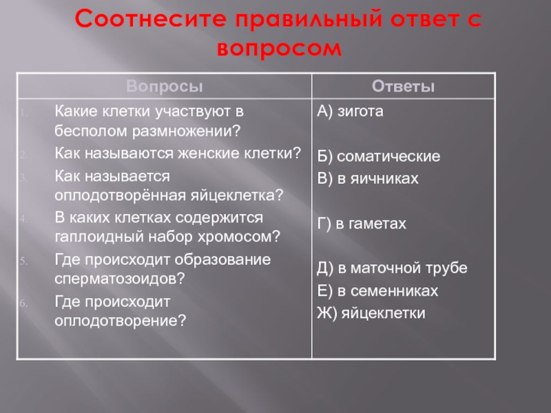 Соотнеси вопросы и ответы