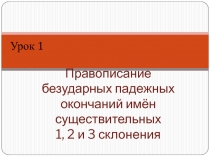 Правописание безударных падежных окончаний имён существительных 1, 2 и 3 склонения