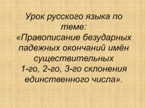 Правописание безударных падежных окончаний имён существительных 1-го, 2-го, 3-го склонения единственного числа