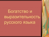 Богатство и выразительность русского языка