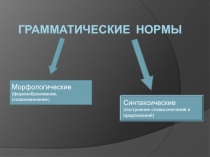 Трудные случаи употребления форм существительных