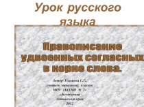 Правописание удвоенных согласных в корне слова.