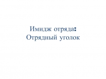 Имидж отряда: Отрядный уголок