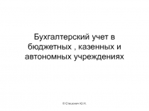 Бухгалтерский учет в бюджетных, казенных и автономных учреждениях