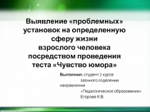 Выявление проблемных установок на определенную сферу жизни взрослого человека