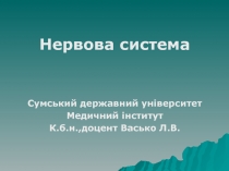 Нер вова система
Сумський державний університет
Медичний інститут
К.б.н.,доцент