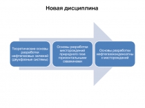 Новая дисциплина