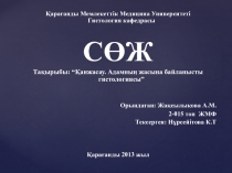 Қарағанды Мемлекеттік Медицина Университеті Гистология кафедрасы
СӨЖ
Тақырыбы:
