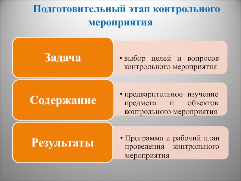 План и программа контрольного мероприятия