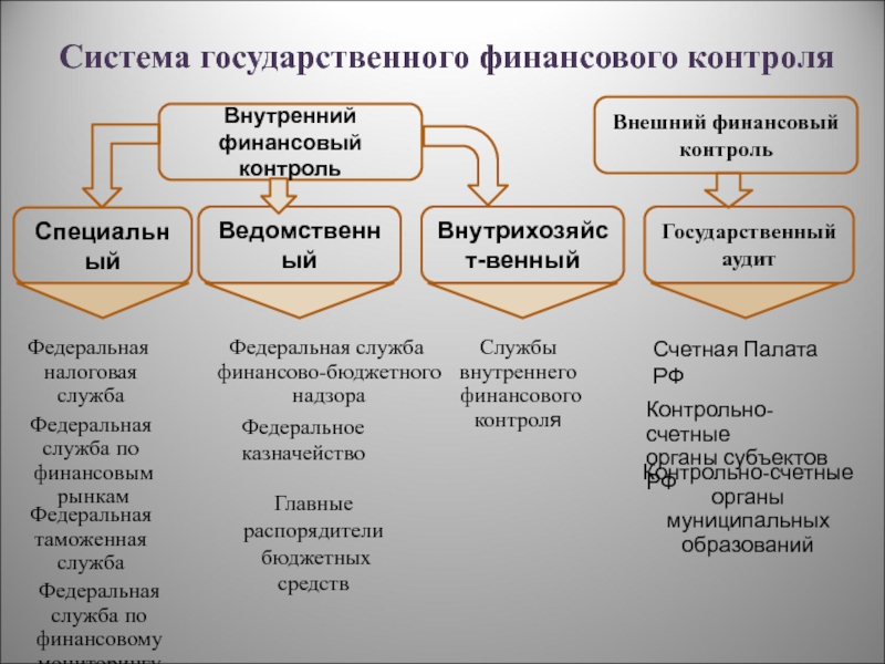 Федеральная налоговая служба финансовый контроль