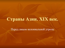 Страны Азии. XIX век