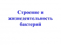 Строение и жизнедеятельность бактерий