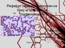 Реферат по микробиологии на тему Патогенные стафилококки