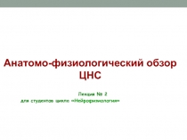 Анатомо-физиологический обзор ЦНС