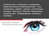 Строение век, их функция и иннервация. Невоспалительные заболевания век – птоз,