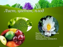 Лист, цветок, плод