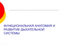 ФУНКЦИОНАЛЬНАЯ АНАТОМИЯ И РАЗВИТИЕ ДЫХАТЕЛЬНОЙ СИСТЕМЫ