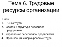 Тема 6. Трудовые ресурсы организации