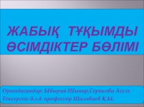 Жабық тұқымды өсімдіктер б өлімі