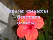 Гаиләм җылысы – бәхетнең олысы