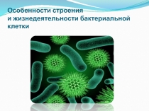 Особенности строения и жизнедеятельности бактериальной клетки