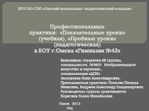 Профессиональные
практики: Показательные уроки ( учебная), Пробные уроки