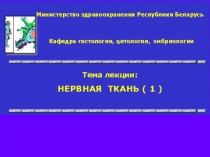 №11 Лекция Нервная ткань МИнский госуниверситет (оконч.в-т)