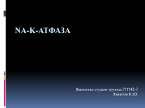 Na-K- АТФаза