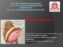 ГБОУ ВПО Первый Московский государственный медицинский университет им. И. М