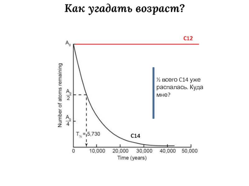 Получить возраст c