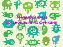 Немембранные органоиды и их функции