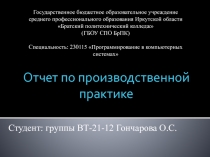 Отчет по производственной практике
