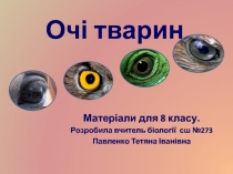 Очі тварин