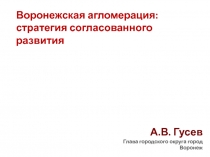 А.В. Гусев
Глава городского округа город Воронеж
Воронежская агломерация: