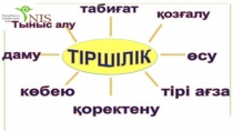 Жыныссыз көбею