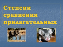 Степени сравнения прилагательных