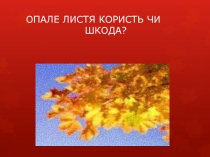 ОПАЛЕ ЛИСТЯ КОРИСТЬ ЧИ ШКОДА?
