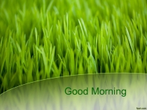 Good Morning