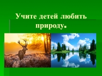 Учите детей любить природу