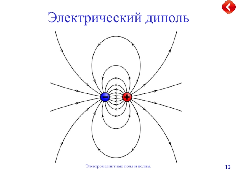 Рисунок величины электрического поля. Электрический диполь в электрическом поле. Диполь (электродинамика). Картина силовых линий электрического поля диполя. Электрическое поле диполя формула.