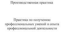 Практика по получению профессиональных умений и опыта профессиональной