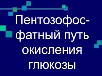 Пентозофос-фатный путь окисления глюкозы