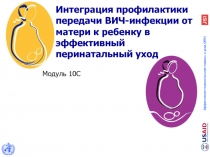 Интеграция профилактики передачи ВИЧ-инфекции от матери к ребенку в эффективный