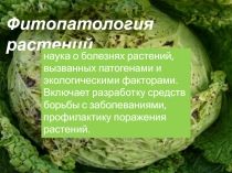 Фитопатология растений
наука о болезнях растений, вызванных патогенами и